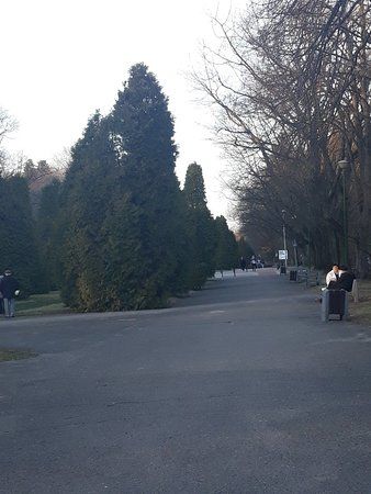 Wędrówki po okolicy
